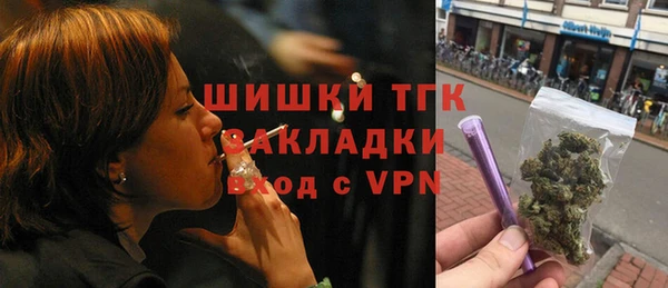 мяу мяу мука Аркадак